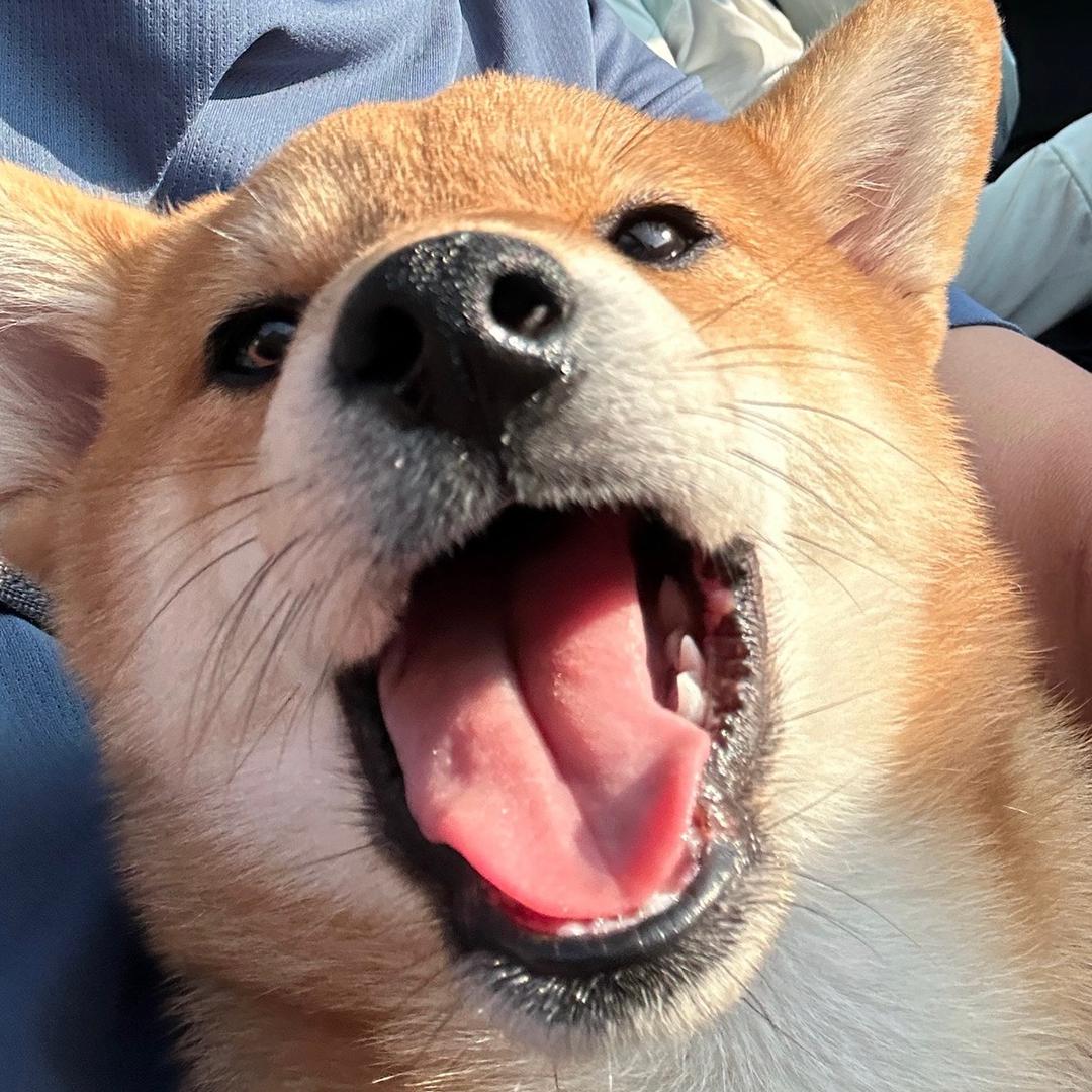 李某人