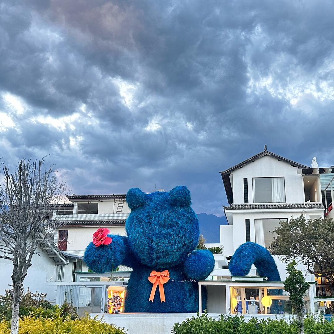 杭城网约车(大飞）