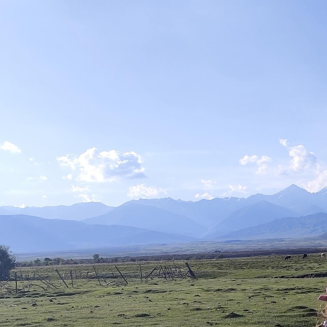 最熟悉的陌生人