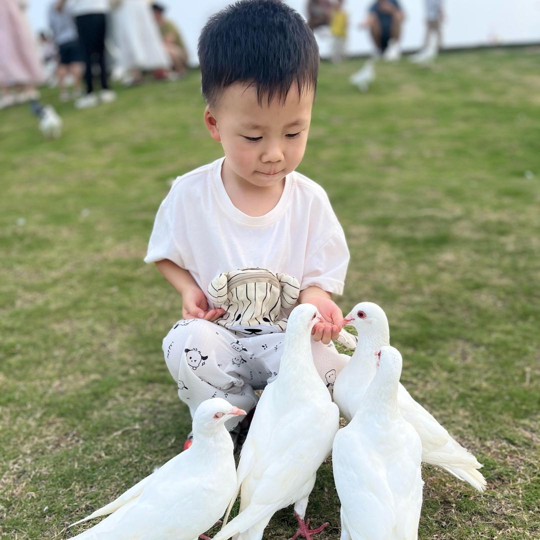 喵喵吖🏠