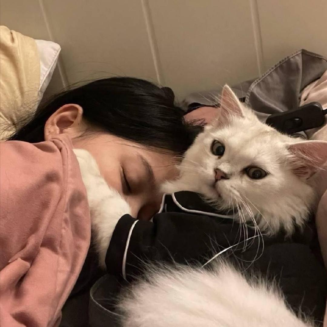 慧慧