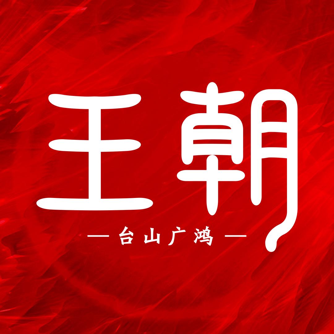 比亚迪王朝｜台山广鸿