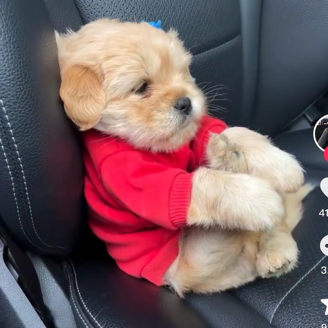 发财妞妞🍊