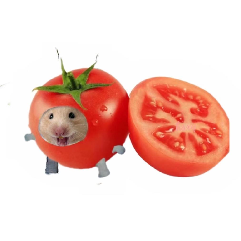 婉里有肉耶