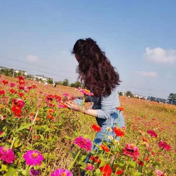 徐美