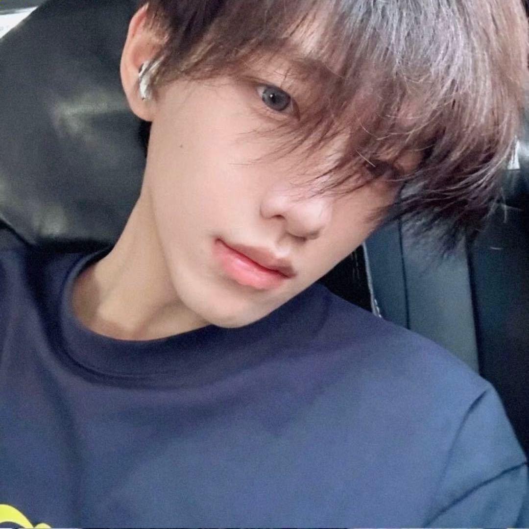 枫