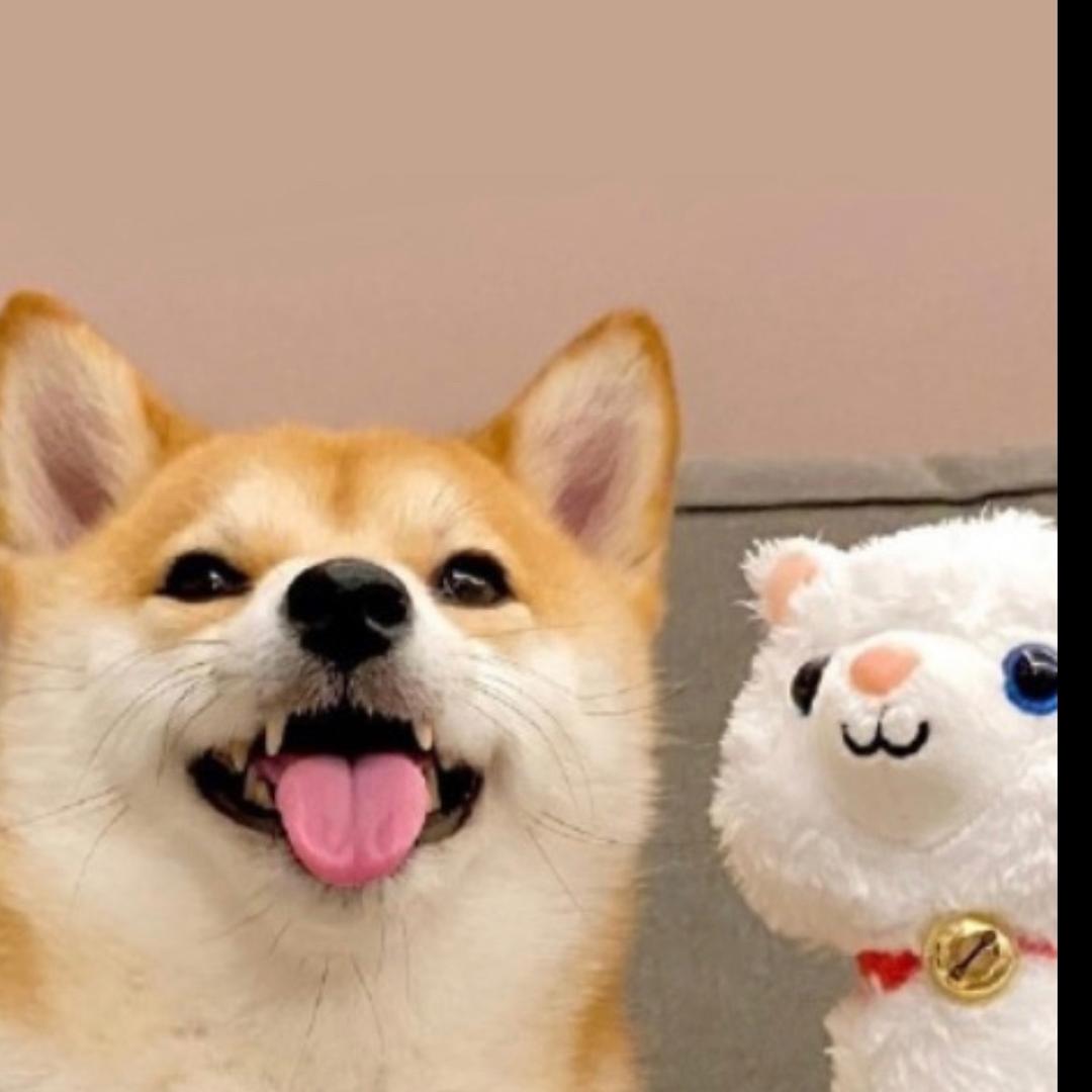 诗和远方 .
