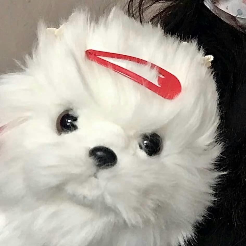 치.