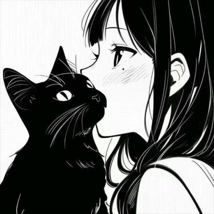 ✨闪闪&treize ✨