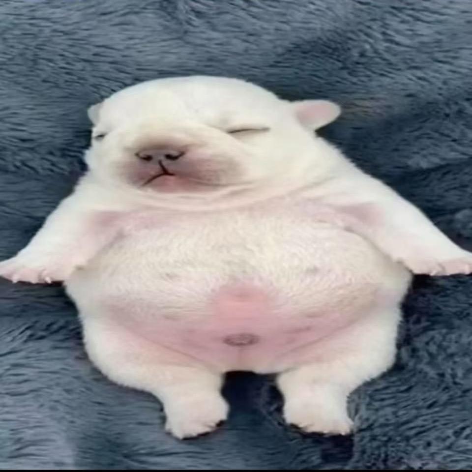 O o