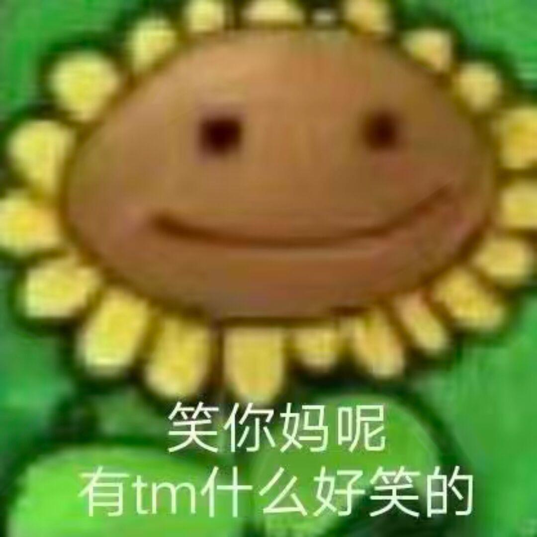 夜驅