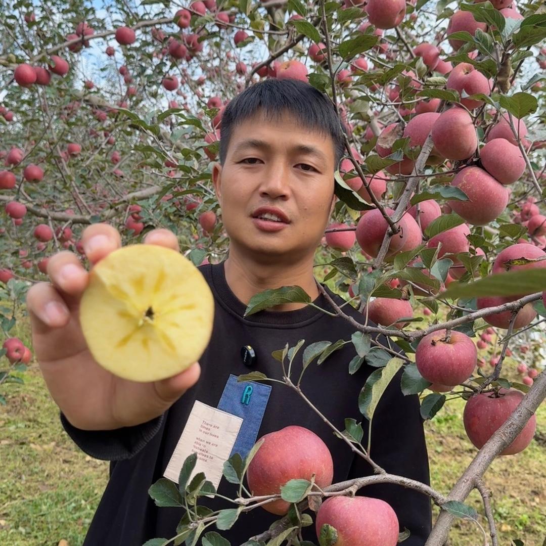 苹果探长