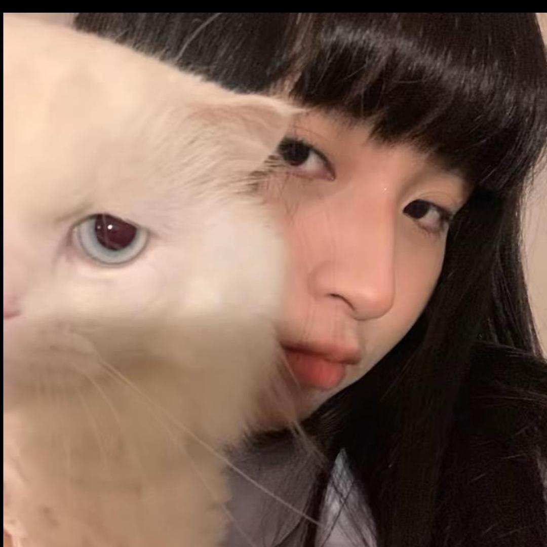 小琴/🕋
