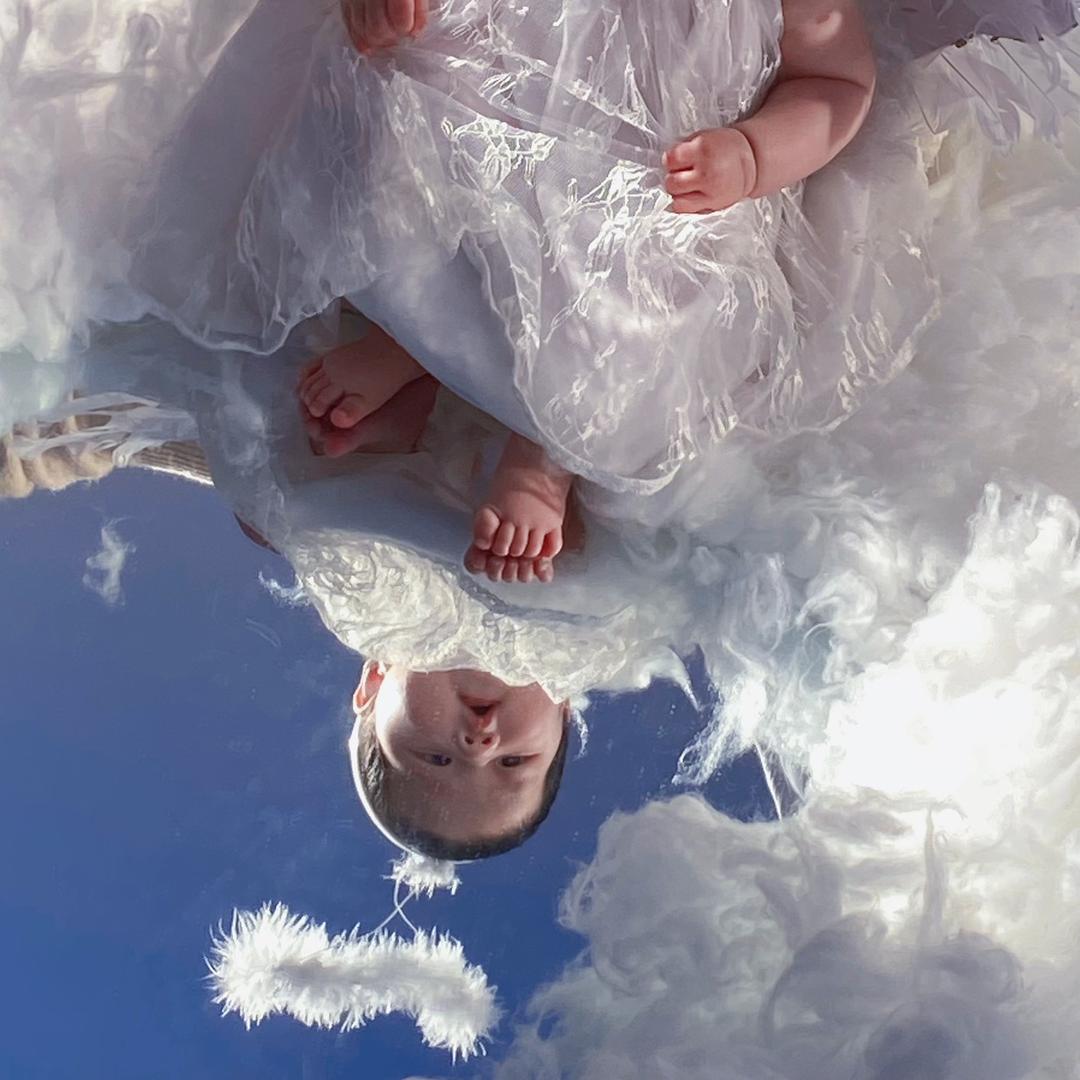 重生之我在和县卖花甲