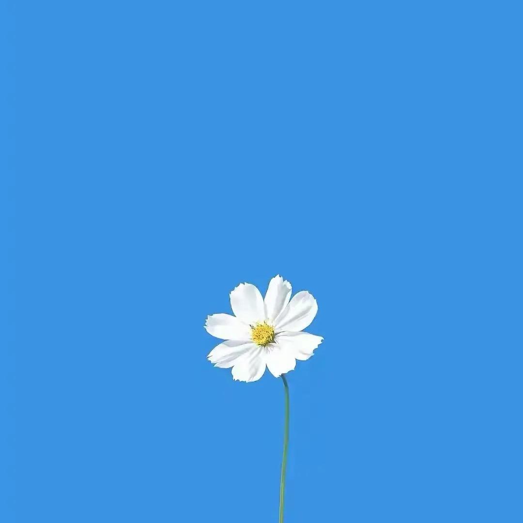 又这样