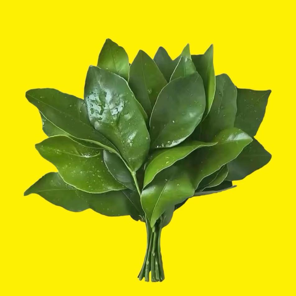 这位兄台你也在啊