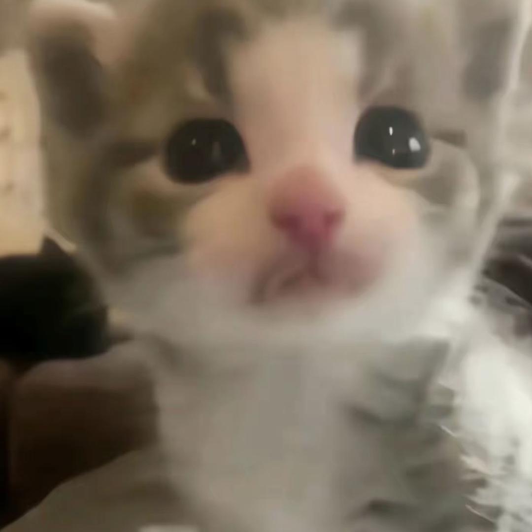 Kitty7i