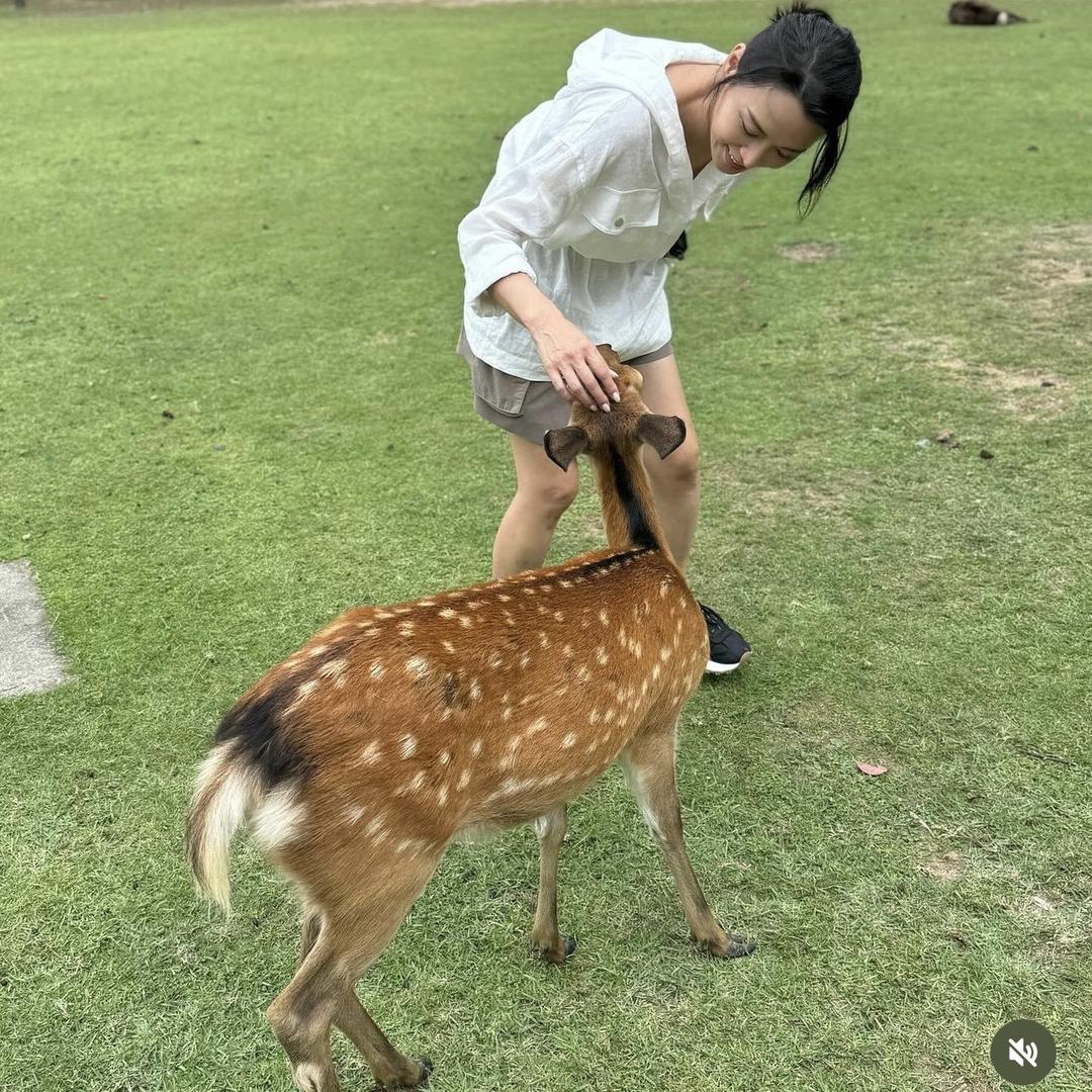 千寻在日本
