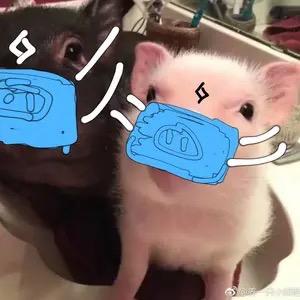 小郑艳.