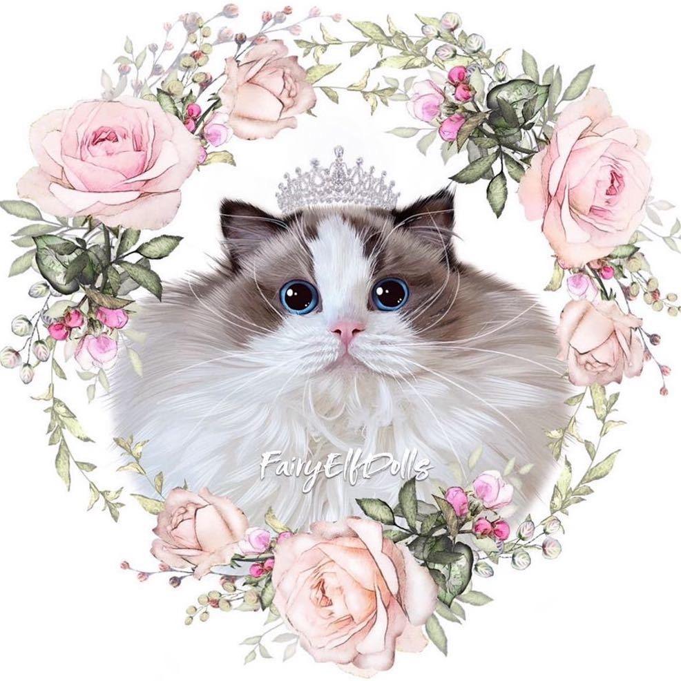 颖姥姥的小猪喵