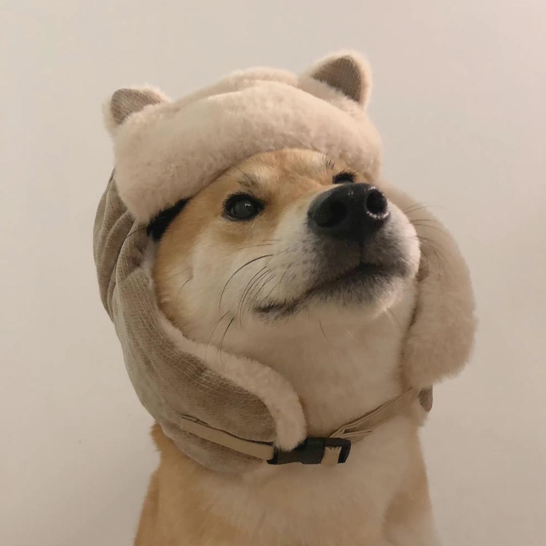 小虎牙哈哈哈