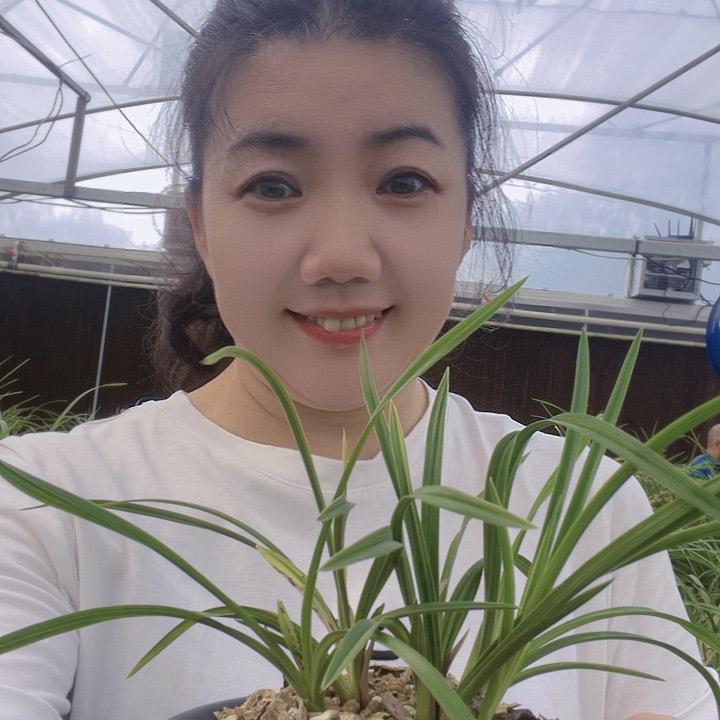 珍祁怪兰种植园