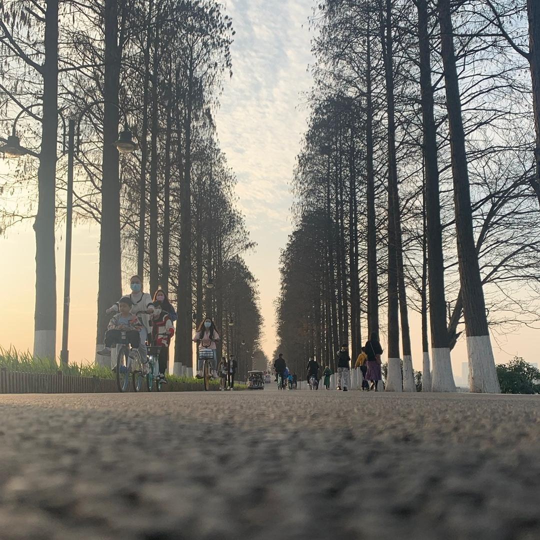 二娃果果