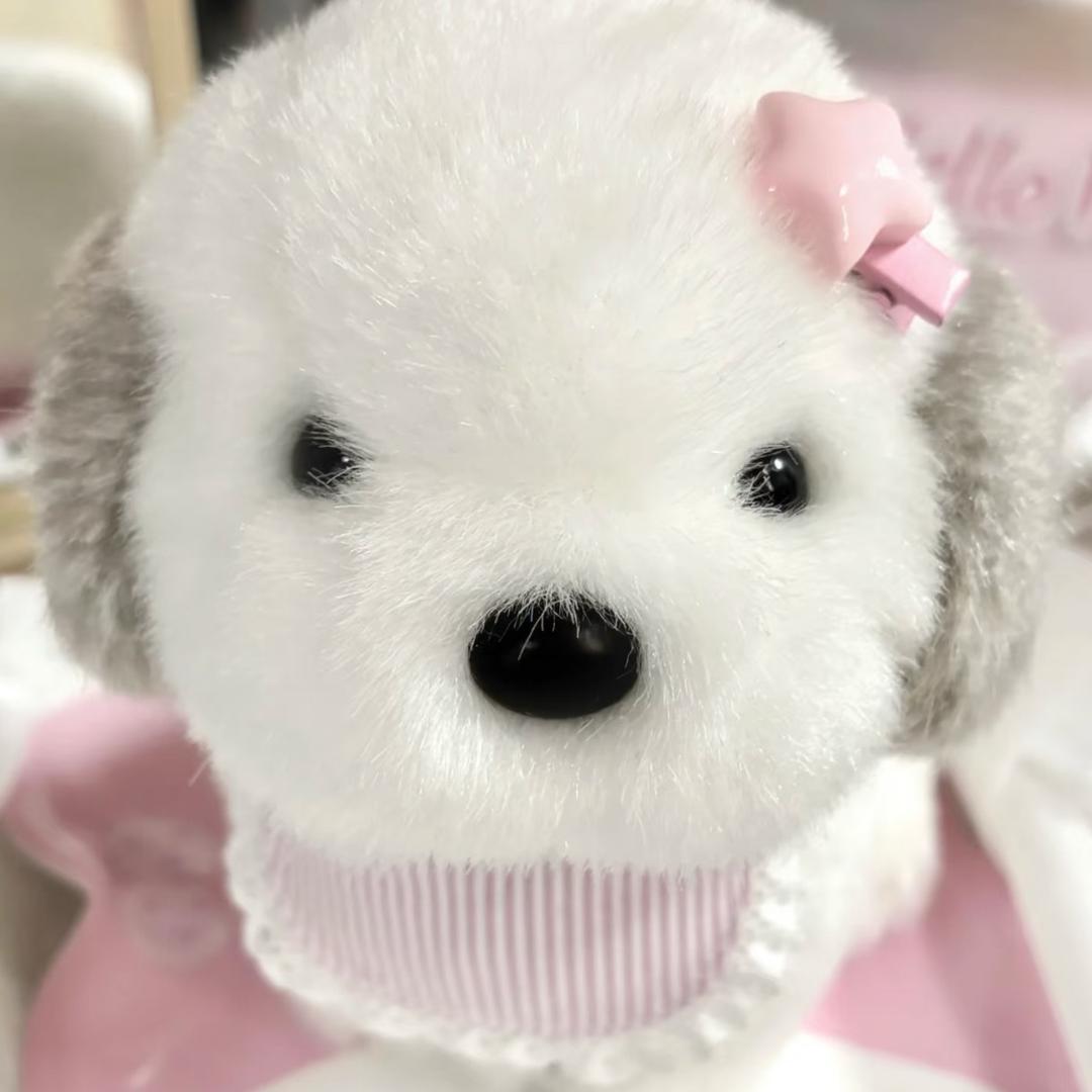 🐾