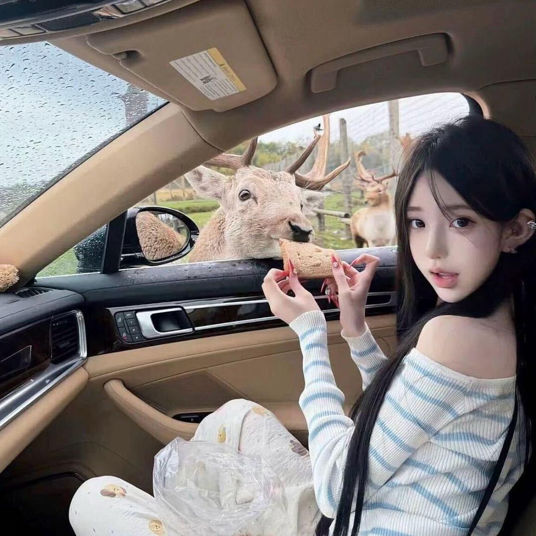 晚安_