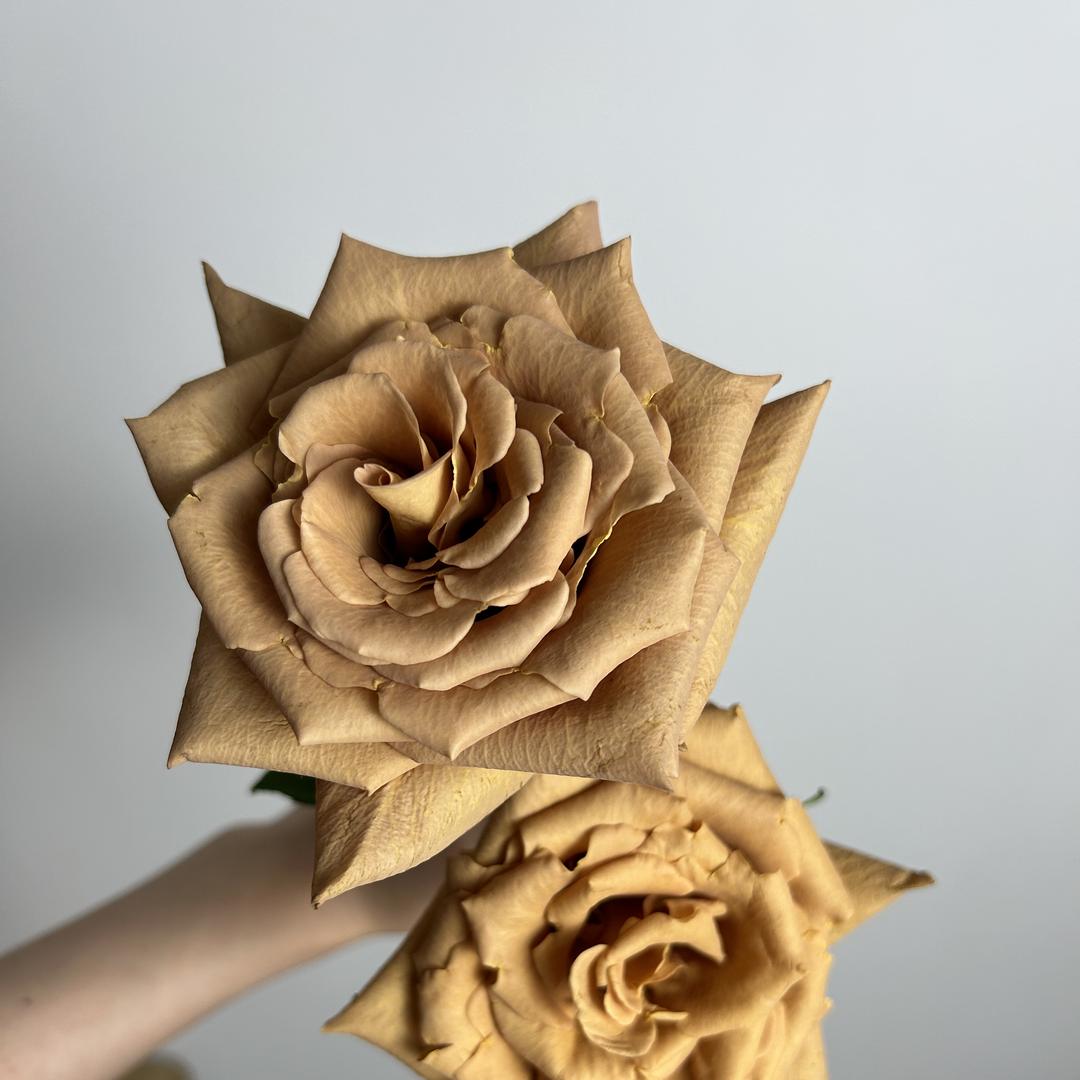 花颜花语（鲜花供应）