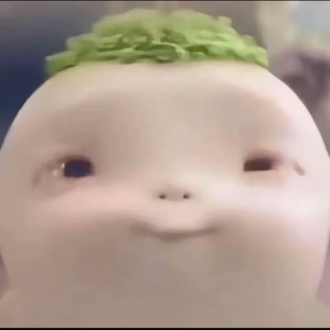 小h