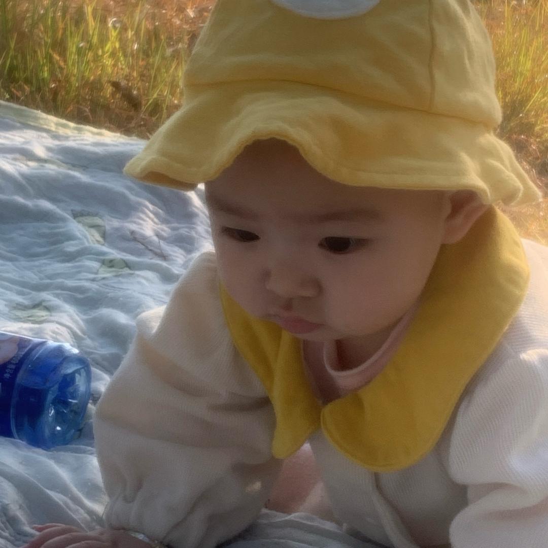 兔子不爱吃萝卜