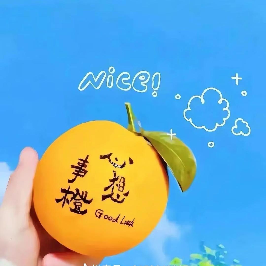 小太阳🌞