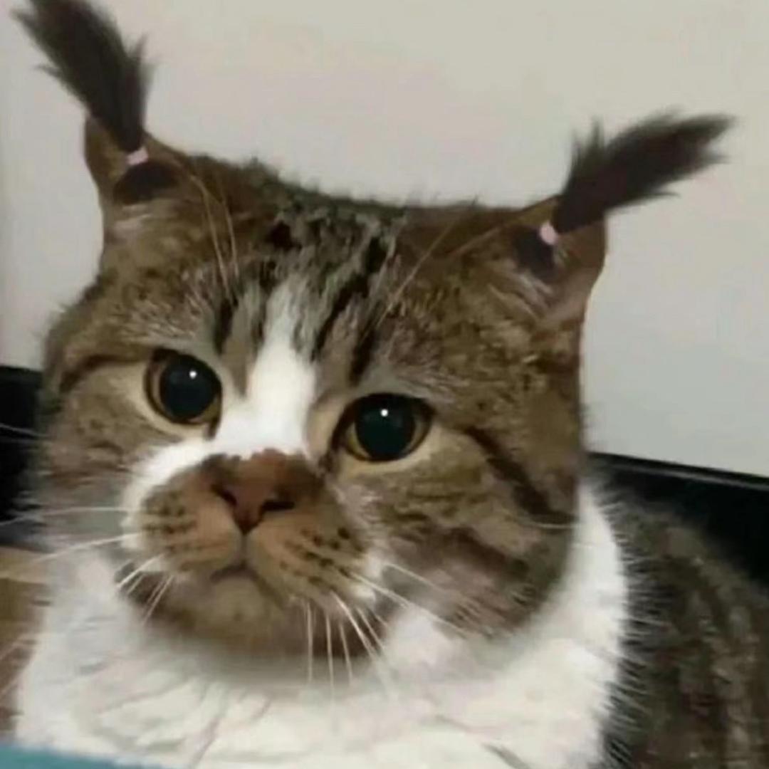 小雀