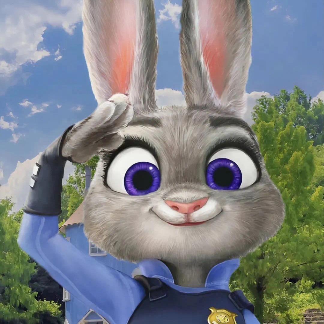 兔子🐰警官👮‍♀️