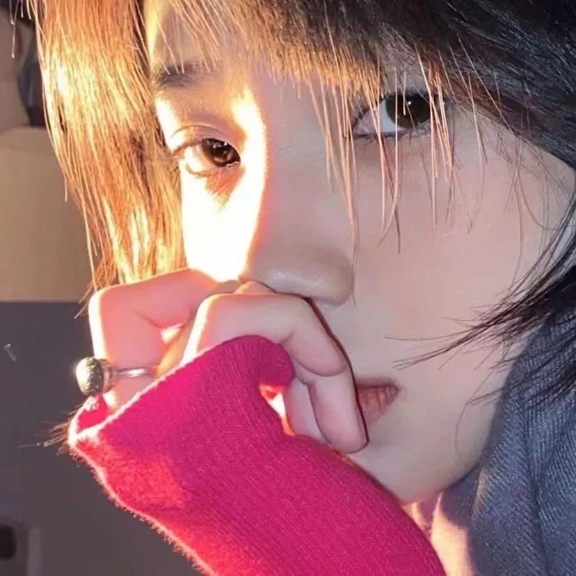 热带的菠萝