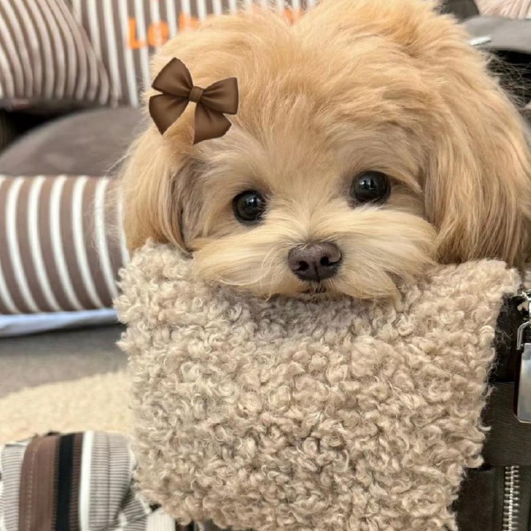 晚亿点睡.