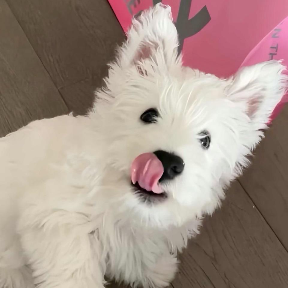 zz^-^