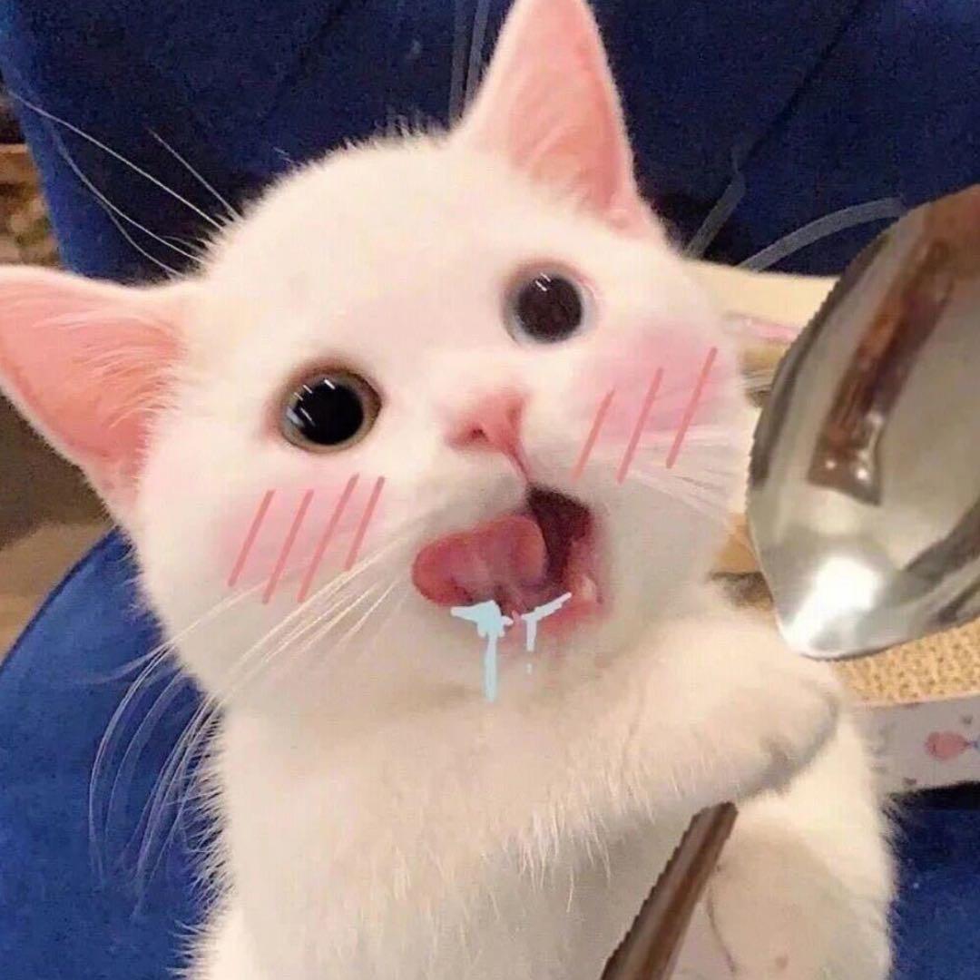 等会说你你又不开心