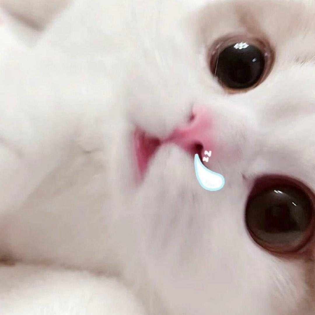 Yoyo