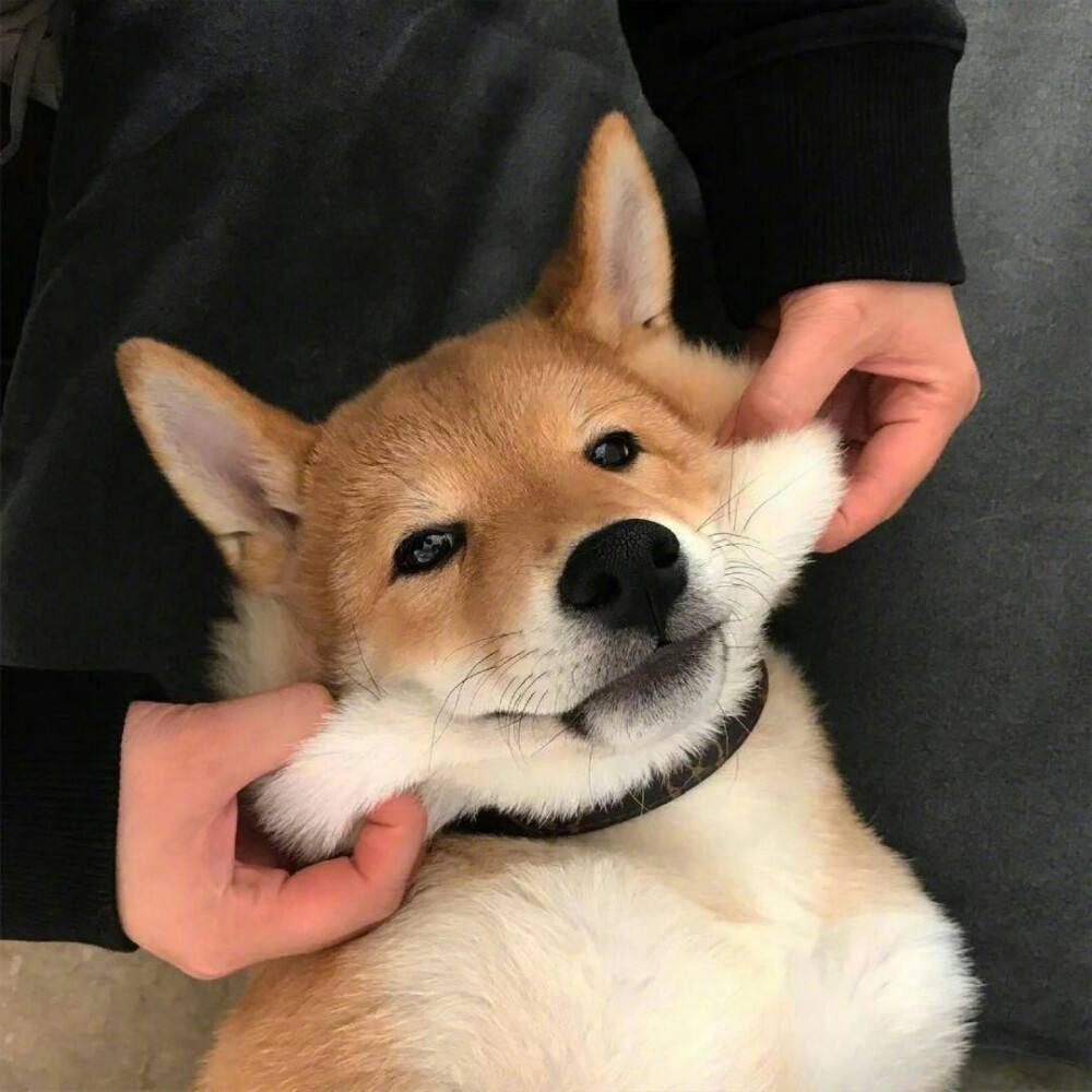 林安的日常