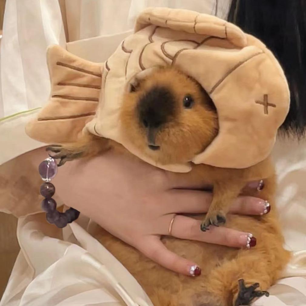 爱莉福
