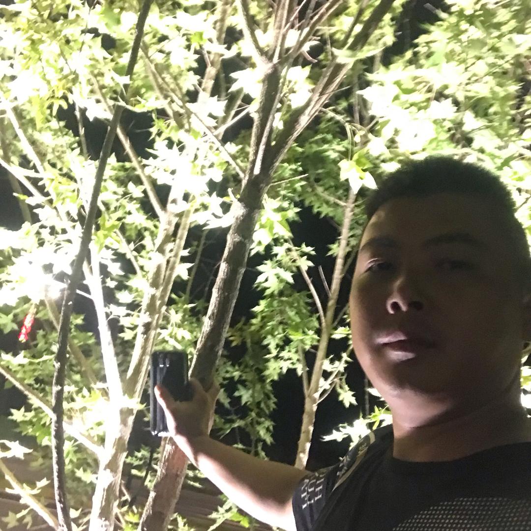人在江湖 身不由己