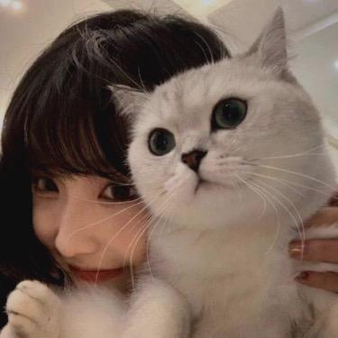 妞妞美食
