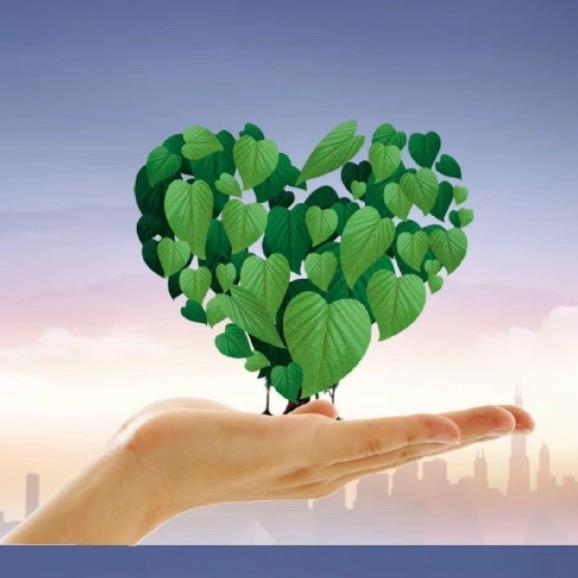 老路聊、新能源燃料