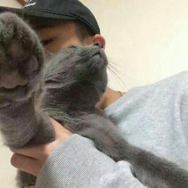 ㅤ ㅤ  ㅤ