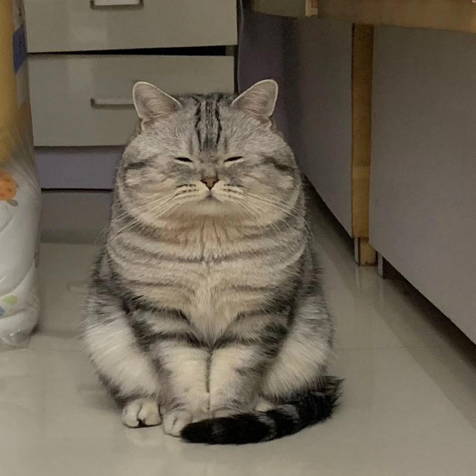 杰尼手作