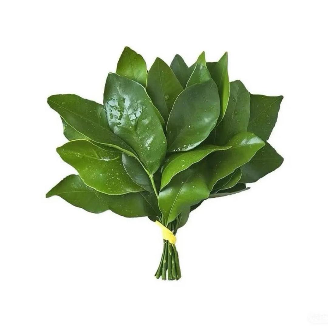 牛爷爷cos母蟑螂·