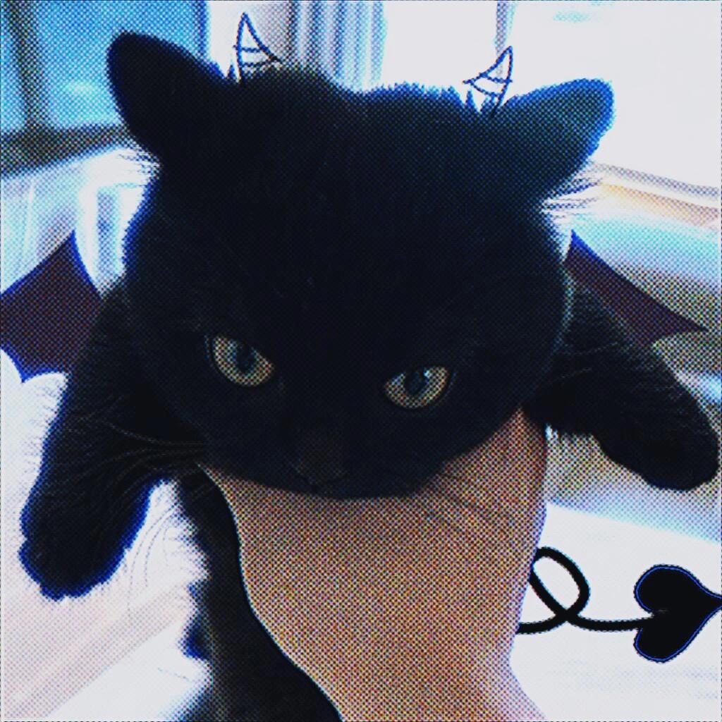 咪咪