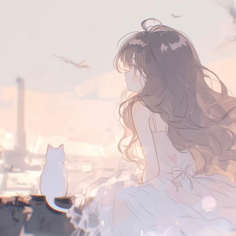 橘崽（三角洲行动）
